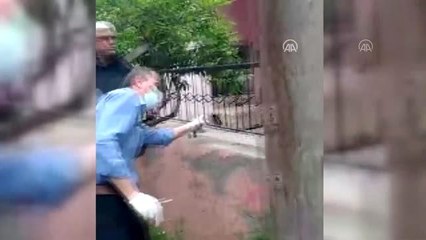 Korkuluk demirine saplanan kedi kurtarıldı