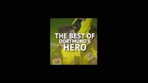The best of Dortmund hero Marco Reus