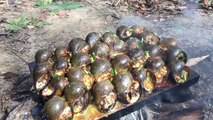 Cooking Snail on Rock Searching Snail Cook For Food Eating delicious