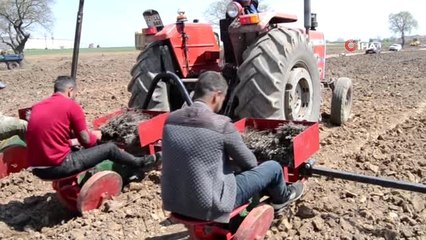 Edirne'de Lavanta Ekimi yapıldı
