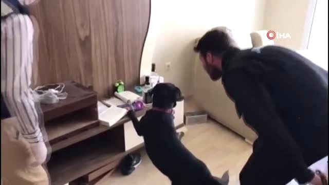 Jandarma ekiplerinden uyuşturucu satıcısının evine operasyon