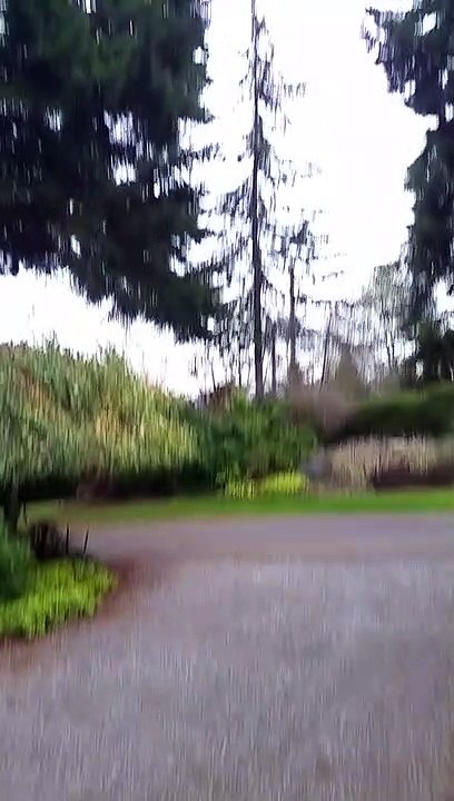 Cette araignée utilise un cailloux pour faire...