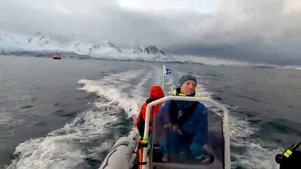 Orcas Follow Ship Along Norwegian Arctic Coastline