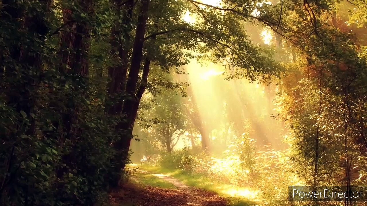 कौन सी चार औरतों का सम्मान करना जरूरी है