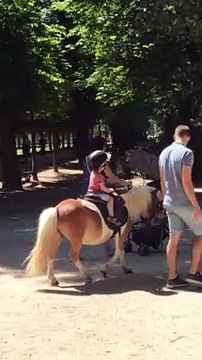 Horse riding in Paris | Anthony S Casey Singapore