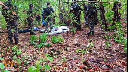 '  Gadchiroli ' Amazing fact's || Gadchiroli Naxal Attack || Gadchiroli Forest || Vicky Chaple ||