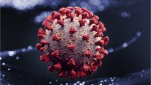 WHO: Unclear Patients Immune To Second COVID-19 Infection