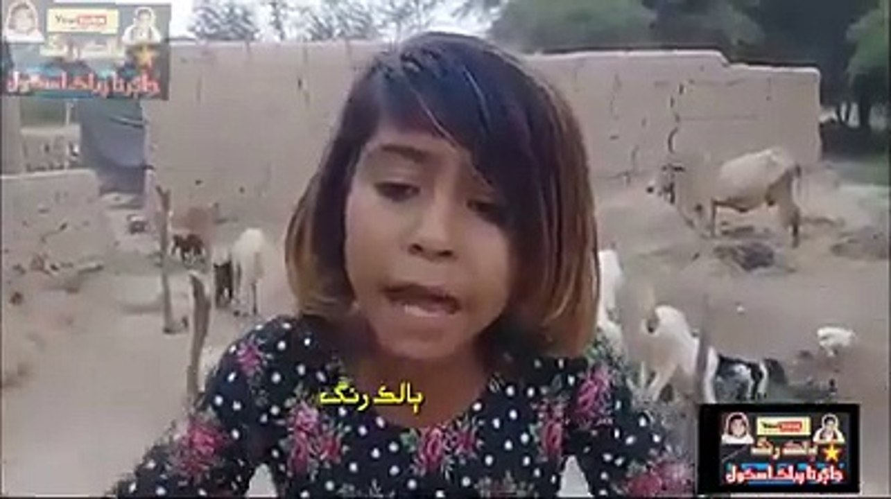سارو جڳ جهان چئي ٿو گهر ۾ رهڻ ئي بهتر آهي.. ڪامريڊ ڪومل لغاري