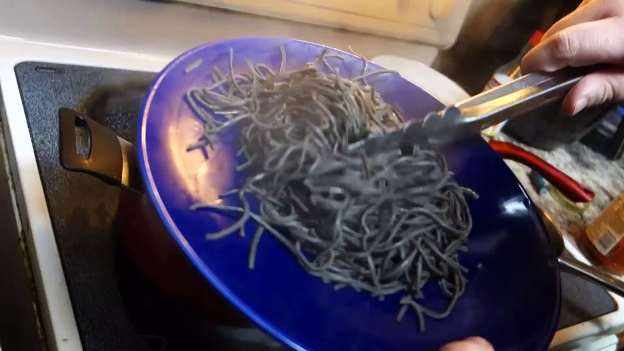 THE HALLOWEEN SPAGHETTI PRANK!