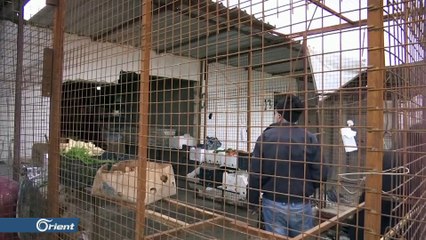 الاسكوا: العرب يفتقرون لمرافق غسل اليدين