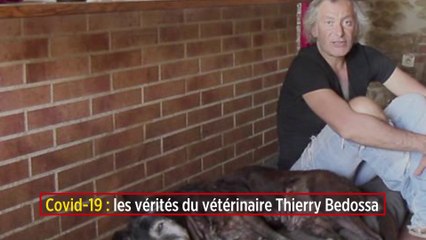 Covid-19 : les vérités du vétérinaire Thierry Bedossa