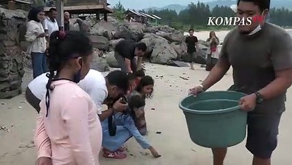Komunitas Pecinta Satwa Lepas Liarkan Tukik