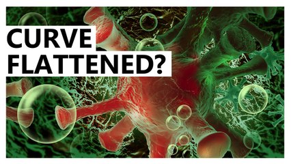 Singapore may have flattened the curve on COVID-19