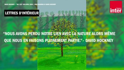 "Comme des idiots, nous avons perdu notre lien avec la nature..." - David Hockney