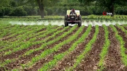 Adanalı çiftçiler üretim için sahada