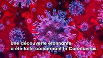 Coronavirus : les fumeurs moins touchés par le Covid-19 ? Les dernières infos
