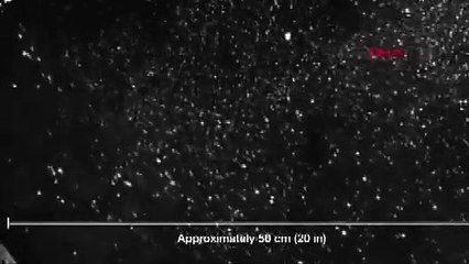 Koronavirüs hapşırma yoluyla 8 metreye kadar ulaşabiliyor