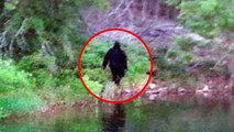 5 Believable Bigfoot Sightings Caught on Camera