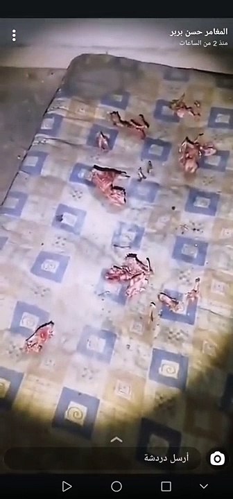 عندما البشر يطلبون قربان الجن بيت الملموس و يضعون طعام مخصص للجن اشخاص معينه من البشر شاهد واحكم بنفسك