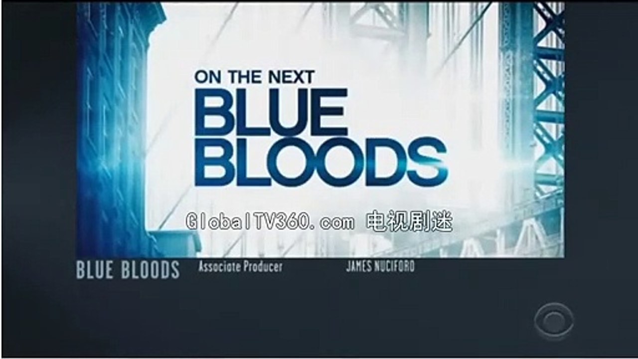 Blue Bloods S10E18 Hide in Plain Sight video Dailymotion