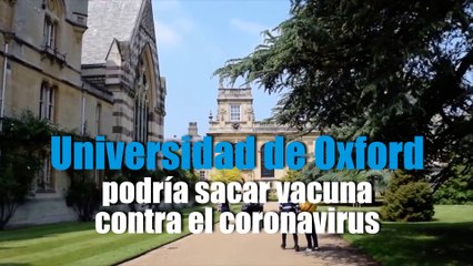 Universidad de Oxford podría sacar vacuna contra el coronavirus en Septiembre