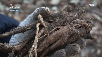 어휴 이것도 엄청난 수확인데요;