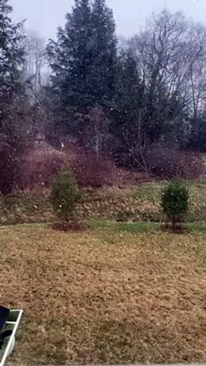 Falling Snow in April 2020