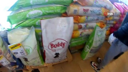 İstanbul'da duyarlı gençler ormandaki sokak hayvanlarını besledi