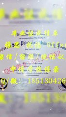 加QQ微信【1851304262】制作美国【MIT斯隆管理学院美 】最新版 毕业证  成绩单 雅思 托福 offer 留信认证 使馆认证——MIT Sloan School of Management degree