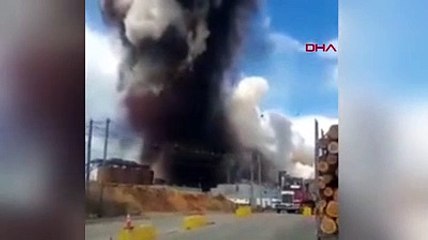 ABD'de kağıt fabrikasında patlama meydana geldi