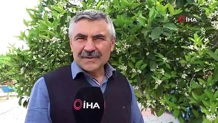 Adanalı çiftçiler üretim için sahada