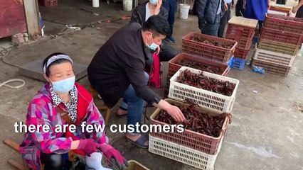 Wuhan's 'wet markets' struggle after virus lockdown
