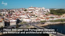 Why Bats Work the Night Shift at These 300-Year-Old Portuguese Libraries