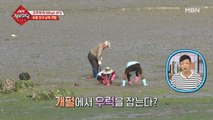 보물 천국 남해 개펄에서 우럭을 잡다?!