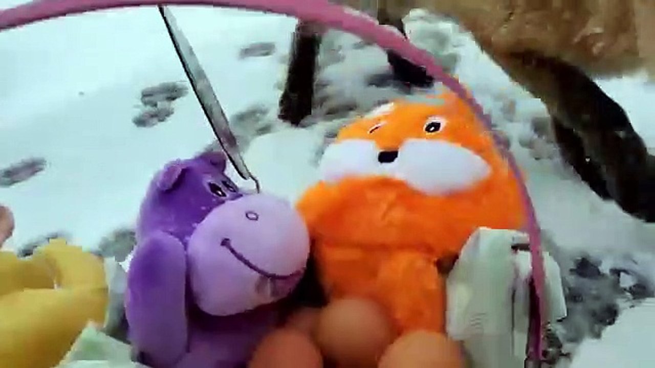 Fox eat egg ! Happy Easter