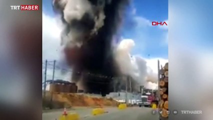 ABD’de kağıt fabrikasında patlama