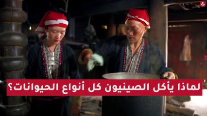 لماذا يأكل الصينيون كل أنواع الحيوانات؟