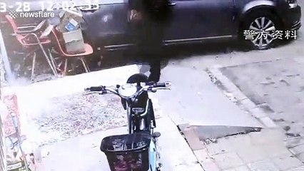 Chinese man lights catkin flowers on fire setting nearby vehicles and flats alight