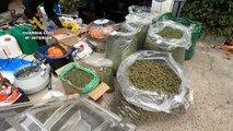 La Guardia Civil detiene a seis personas por cultivo de marihuana