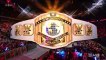 (ITA) Seth Rollins contro Dolph Ziggler [WWE Intercontinental Championship] - WWE RAW 26/11/2018