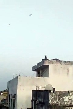 Un singe fait voler un cerf-volant du haut d'un toit