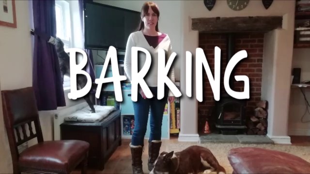STOP YOUR PUPPY NUISANCE BARKING - PUPPY PARENTING