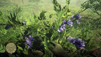 Red Dead Redemption 2 Online Localización de Objetos Colección de Guardia Nocturna (Nuevas Ubicaciones de la colección)