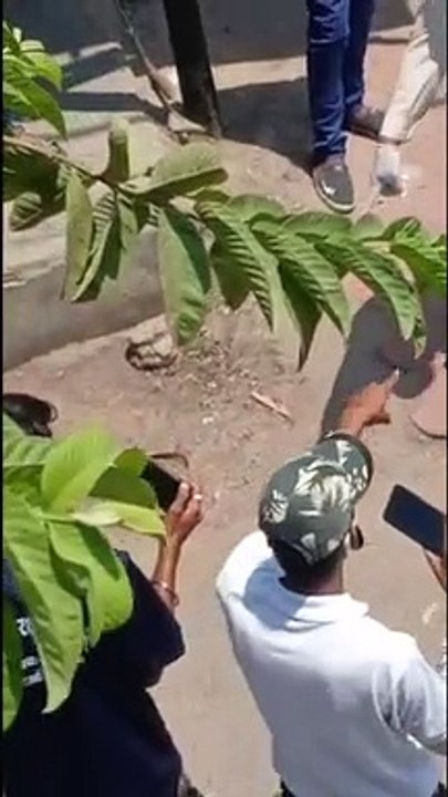 कार चालक सड़क पर फेंक गया था नोट, पुलिस ने सेनीटाइज कर डंडे से नोट बटोरे
