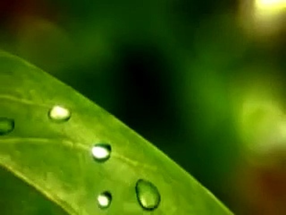 Catch-Test2