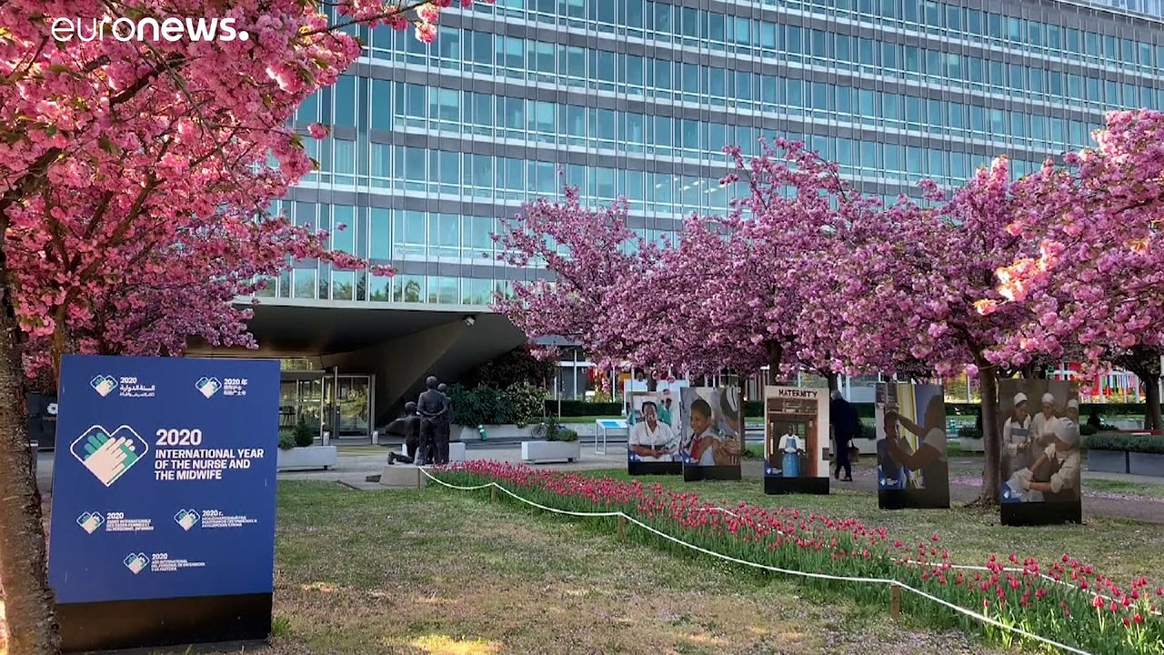 WHO reagiert auf US-Zahlungsstopp: 'Wir bedauern die Entscheidung'