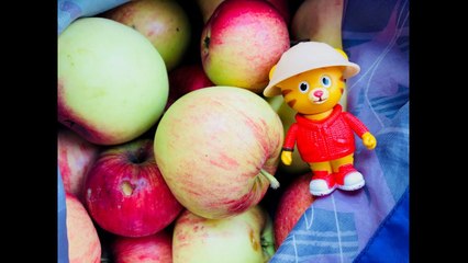 DANIEL TIGER Toy Apple Picking and Drying Fall Fun