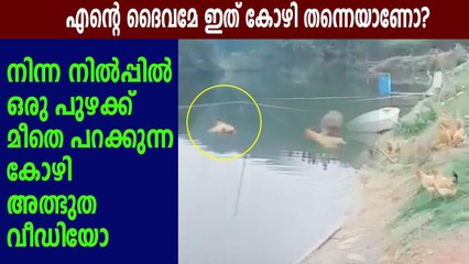 ഈ പുഴയും പറന്ന് കടന്ന് അത്ഭുത കോഴി | Oneindia Malayalam