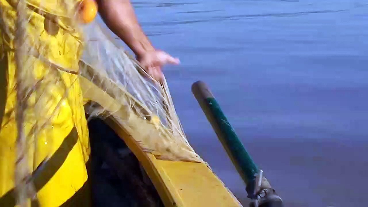 Río Paraná su historia y Biología . Dr Norberto Oldani, Biólogo investigador de Conicet.