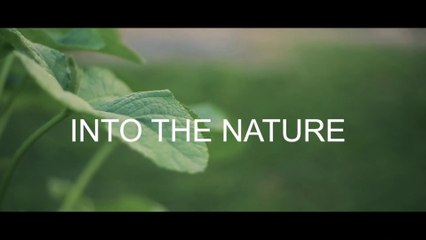 Into The Nature - Cinematic Travel Video